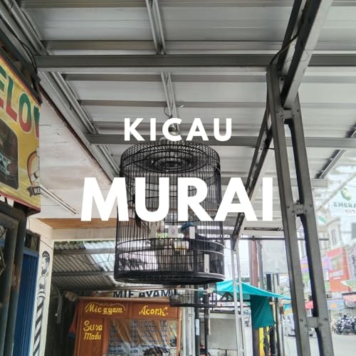 KICAU MURAI cover art