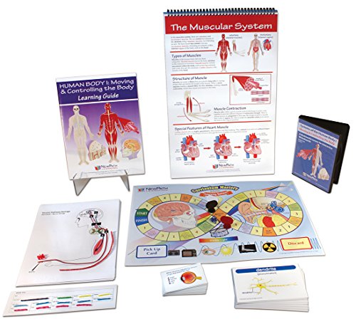 Image of NewPath Learning 74-6731 Human Body I: Moving and Controlling The Body Curriculum Learning Module