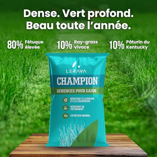 Semences de gazon premium pour aménager un jardin familial durable - 7