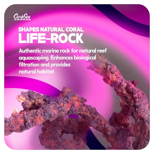 Image of CaribSea LifeRock Shapes - 20 lbs - Natural Aragonite Rock for Aquascaping, Supports Coral Growth & Tank Stability for Marine & Reef Tanks
