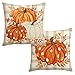 Lyivisk Set di 2 federe autunnali, 40 x 40 cm, con motivo a zucca, per soggiorno, divano e camera da letto, decorazione autunnale immagine
