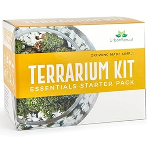 Plant Terrarium Kit for Succulent Plants and Cacti. Gardening Set Includes Cactus Soil, Moss, Gravel and Step-by-Step…