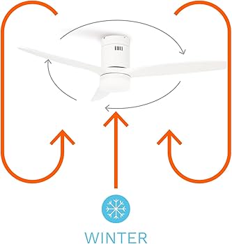 Hansgrohe Accessoires: Xarita Lite Q, Spiegel Met Verticale LED Verlichting 800 30 Wandschakelaar 54963670