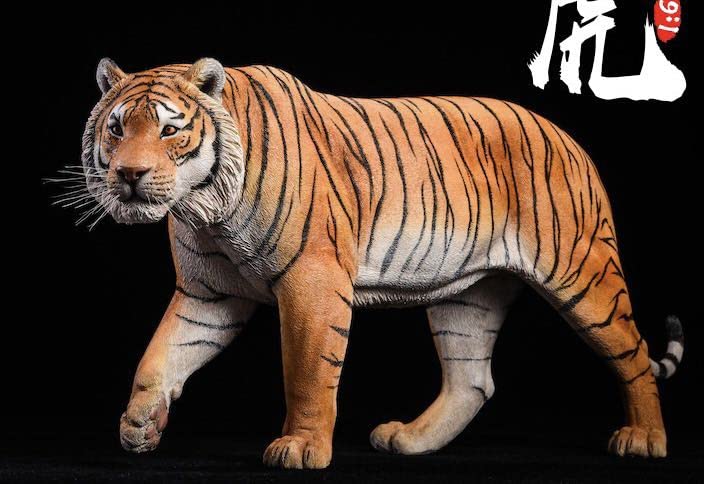 Amazon | ベンガル虎 ガレージキット フィギュア 海外スタジオJXK所蔵