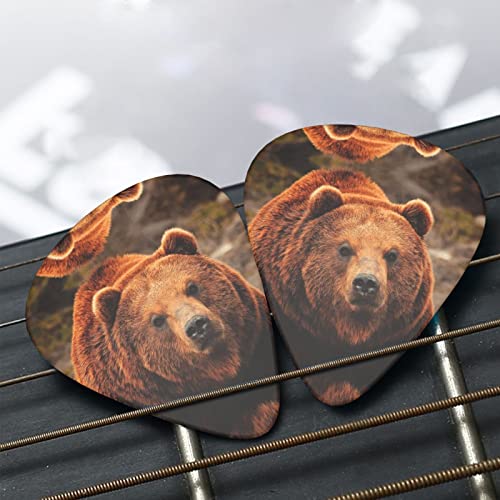 Ensemble de 12 médiators de guitare Grizzly Bear pour guitare acoustique, guitare électrique, contrebasse, ukulélé - Les Beatles, Paul McCartney, John Lennon, RIngo Starr, George Harrison Ensemble de 12 médiators de guitare Grizzly Bear pour guitare acoustique, guitare électrique, contrebasse, ukulélé – Image 8