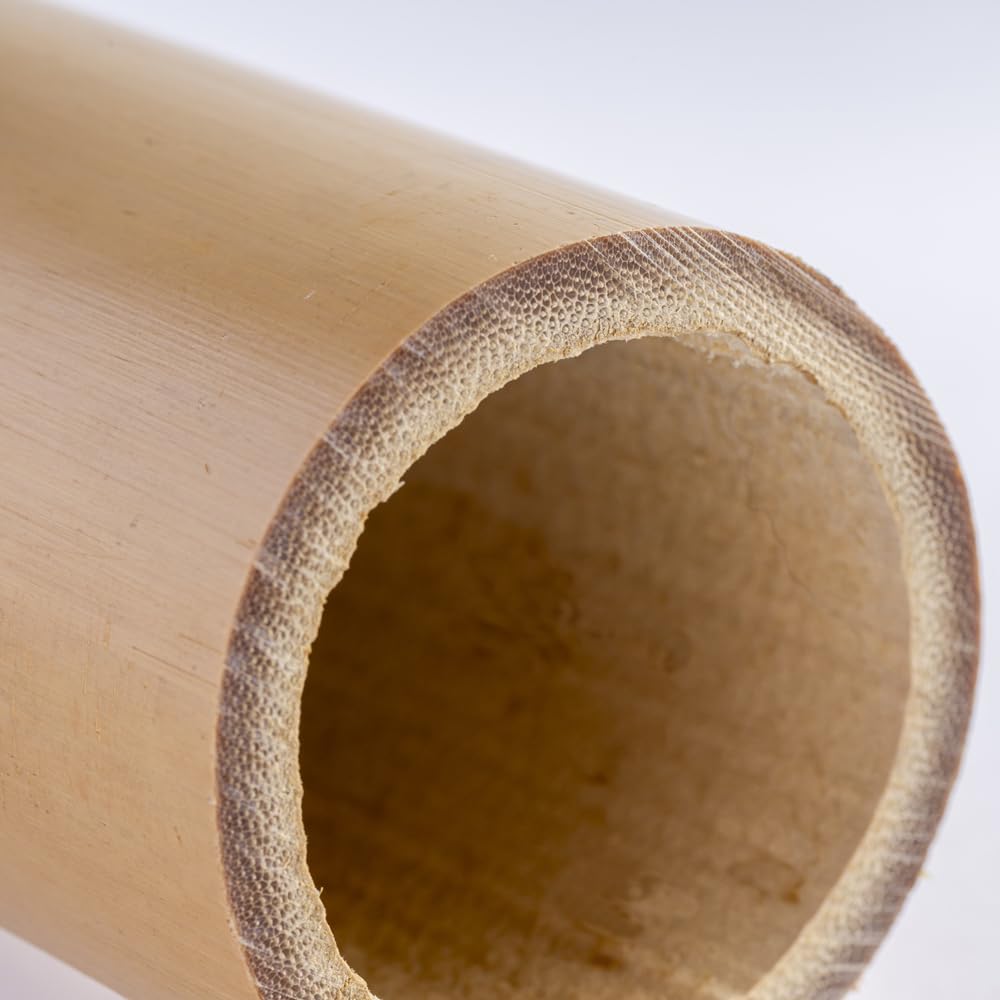 Amazon | トンキンケーン5本束 トンキン竹 トンキンバンブー バンブー