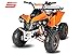 Produktbild 125cc Quad Kinderquad ATV Warrior 3G8 Halbautomatik mit Rückwärtsgang