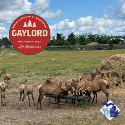 Amy Sherman shares what to do in Gaylord on WILS 1320-AM (Aug. 20, 2026)