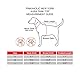 Pinkaholic New York NAQB-TS7221 Hunde T-Shirt, Aura, Medium, blau