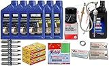 Yamaha OEM 2006+ F200 V6 3.3L Outboard Maintenance Kit - 10W30 FC-W Oil Change, NGK LFR5A-11 Spark