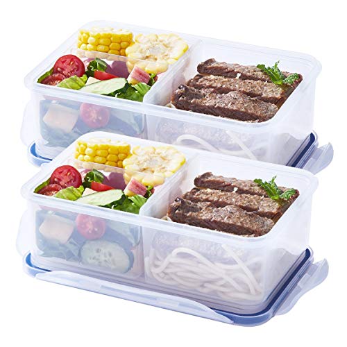 LEXINGWARE Meal Prep Container (38.8oz) - Portion Control - BPA Free - 100% Leak-proof Reusable Food Container - Bento Lunch Box - Configurable Compartments (2Pack)