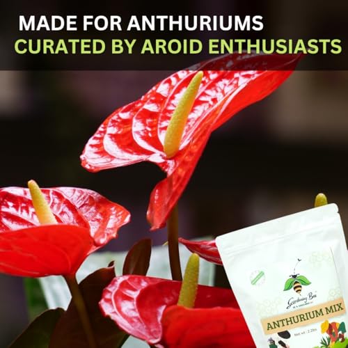 Image of Anthurium Soil Mix (900G), Ideal Soilmix for Anthuriums, 100% Natural and Organic, Ideal Potmix, Potting Mixture, Aroid Potting Mix, Ready to Use, Well Drained Mix (900 gram)