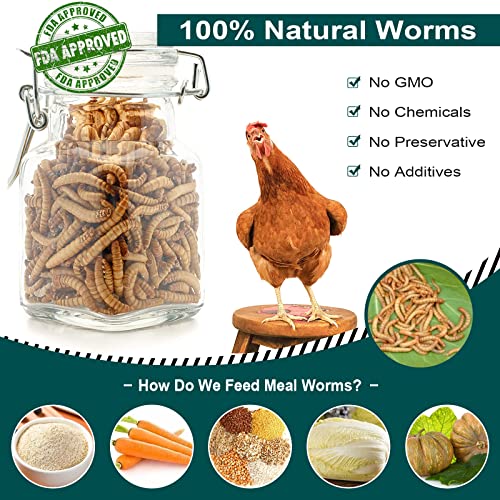 Workpoint 11Lb Non-Gmo Dried Mealworms, 100% Natural Large Size No Moisture, Mealworms For Chickens, Birds, Hedgehog, Hamster, Fish, Reptile, Turtles #TOP1