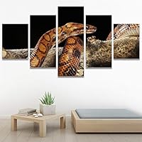 SIGNWIN 5 Panel Canvas Wall Art Modern Art Chic Expressive Frog Multicolor Photography Reptiles Snakes for Home Decorations Ready to Hang - 60