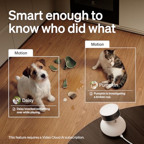 Image of PETLIBRO 2-Pack AI Pet Camera Bundle, Includes 90-Day AI Trial, Indoor Pet Camera with 360 Auto Tracking, Multi-Pet Recognition, Daily Activity Analysis & Smart Summaries, Smart Alerts & 2-Way Audio