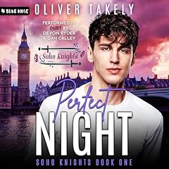 Perfect Night Audiolibro Por Oliver Takely arte de portada