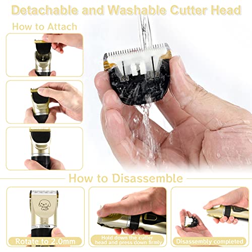 Tondeuse Chien Professionnelle,13 Pcs Tondeuse Chien,Lames en Céramique Amovibles et Lavables,Faible Bruit Rechargeable Electrique Tondeuse pour Chien et Chat Dog Clipper Kit (Doré) – Image 5