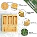 DALSHABET Bamboo Storage Bag Organizer, 4 Separate Food Storage Bags, 12x14 Baggie Organizer Dispenser for All Brands Gallon, Snack, Sandwich & Quart Slider Bags Beige
