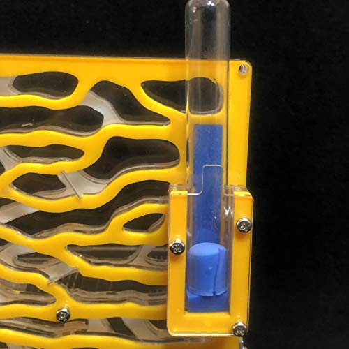 DIY Große Ameisenfarm aus Acryl mit Fütterungsbereich Großes Ameisenhaus Ameisennest Villa Insekt Haustier Ameisenhaufen Workshop 6 Schichten 19,5 * 15 * 22 cm (Yellow)