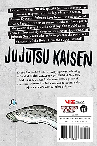 Jujutsu Kaisen, Vol. 13 (Volume 13)