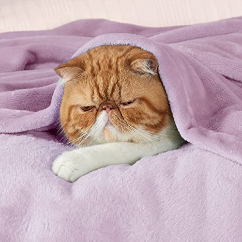 Image of Bedsure GentleSoft Fleece Blankets Queen Size Lilac Lavender - Bed Blanket Soft Lightweight Plush Fuzzy Cozy Luxury Microfiber, 90x90 inches