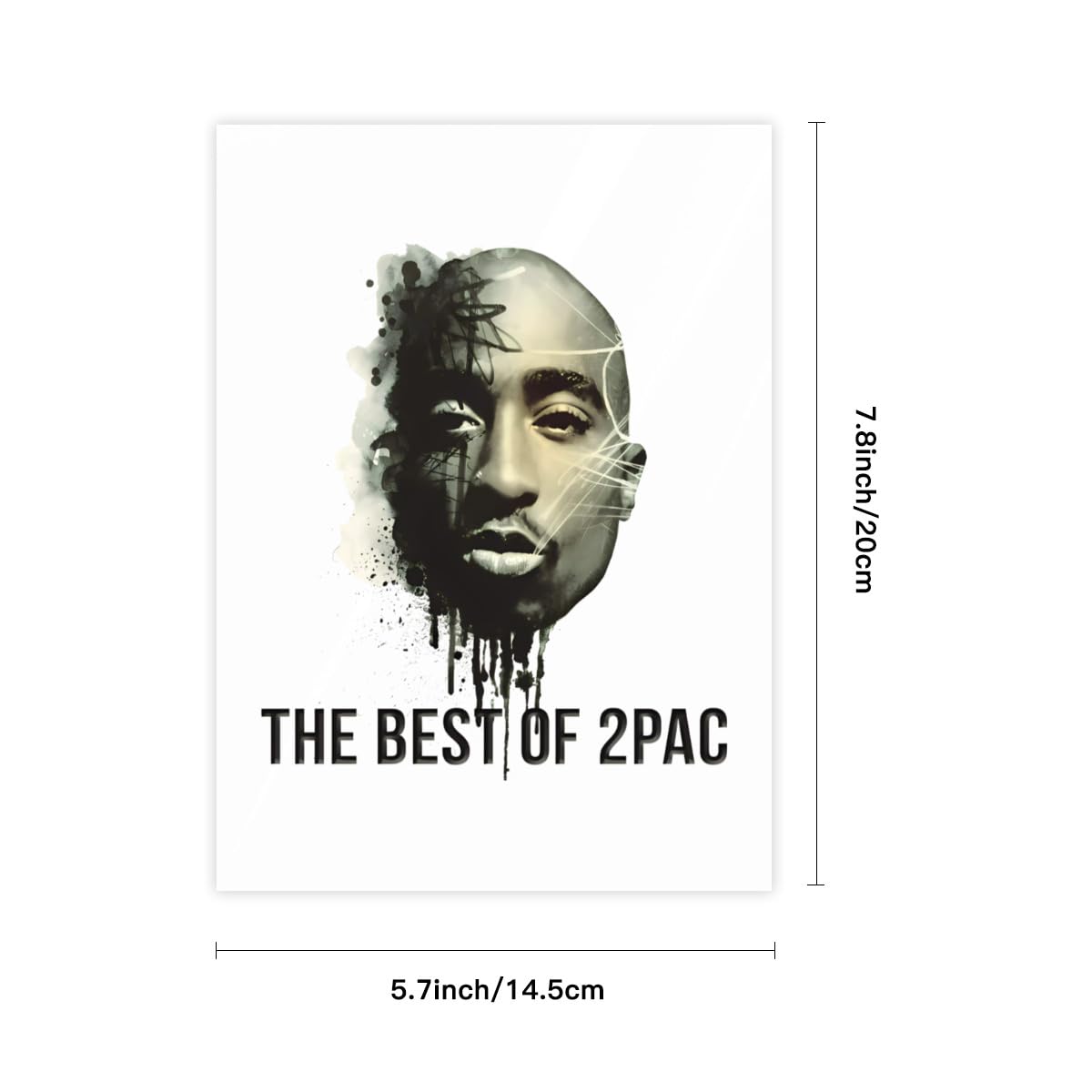 Amazon.co.jp: 2Pac Tupac Hiphop Vintage Rap ステッカー スーツ