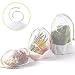 NZ Home Reusable Mesh Produce Bags, Cotton Drawstrings, See Through, Washable, Tare Weight, 6 Pack (Mix)