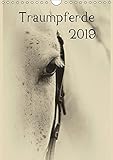  Traumpferde 2019 (Wandkalender 2019 DIN A4 hoch): Pferdekalender stilistisch bearbeitet (Monatskalender, 14 Seiten ) (CALVENDO Tiere)