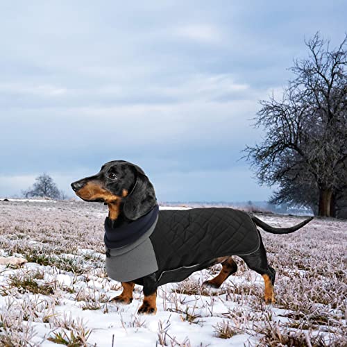 Geyecete Hundemantel Dackel, Dackel Wintermantel, Warmer Quilten Dackelmantel mit Geschirr Loch,Winddicht Rollkragen Hundejacken für kleine Hunde-Schwarz-M