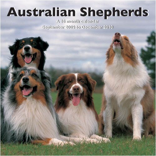 Cine Bergers Australiens (2010), edición original en formato físico de drama y coleccionismo