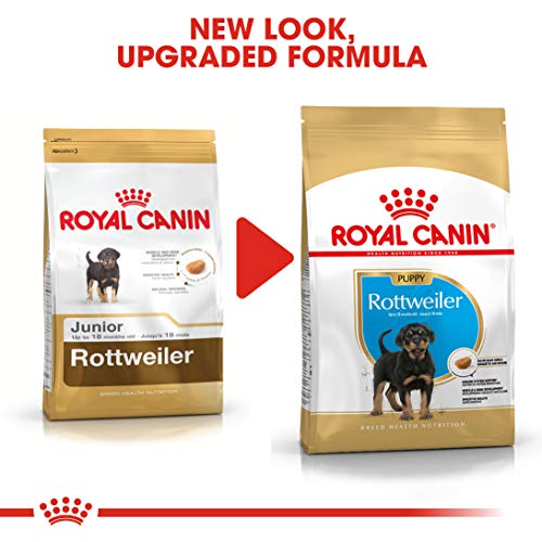 Royal Canin Rottweiler 31 Junior 3 kg, 1er Pack (1 x 3 kg)
