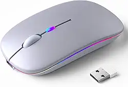 Mouse Sem Fio Recarregável com LED RGB Design Ergonômico e Conexão Bluetooth para Notebook PC e Home Office (Prata)