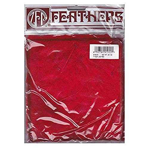 Zucker Loose Turkey Feather Flats Dyed - Bulk Feathers for Crafting, Holiday Decorating, Weddings, Cosplay & Costume (4-6 in)