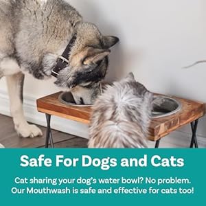 Dogmouthwashdentalwateradditiveforfreshbreathplaquetartarcontrolbestnaturalcleaningfreshenerformulaforhealthyteethgumsadvancedeasytouseoralcaresolution Urban Country Home Decor Dog mouthwash dental water additive for fresh breath plaque tartar control best natural cleaning freshener formula for healthy teeth gums advanced easy to use oral care solution urban country home decor