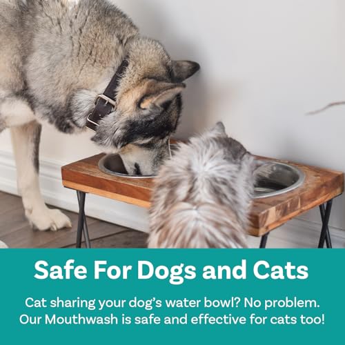 Dogmouthwashdentalwateradditiveforfreshbreathplaquetartarcontrolbestnaturalcleaningfreshenerformulaforhealthyteethgumsadvancedeasytouseoralcaresolution Urban Country Home Decor Dog mouthwash dental water additive for fresh breath plaque tartar control best natural cleaning freshener formula for healthy teeth gums advanced easy to use oral care solution urban country home decor