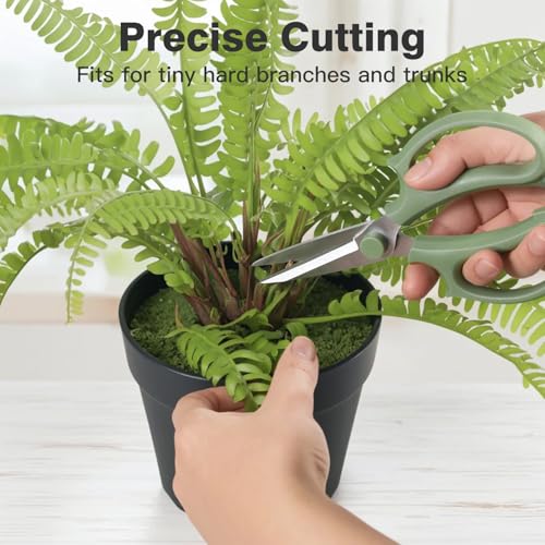Image of Housolution Flower Scissors, Strong Floral Shears, Premium Steel Pointed Garden Pruning Shears Floral Fruits Leaf Scissors Hand Pruner Snip Trimming Tool for Gardening Flower Arrangement,Avocado Green