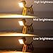 HROOME Super Cute Dog Table Lamp for Kids Room Bedroom Bedside - Dimmable Touch Control Cool Wood Desk Lamp Fun Unique Warm White Light Gifts for Boys Girls Dorm Farmhouse (Medium-Wood Color)