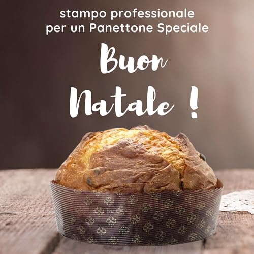 Stampo Panettone Basso 500 gr Qualità Premium (10