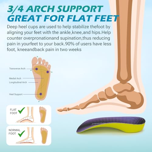 Plantillas Ortopédicas 3/4 para Fascitis Plantar XL miniatura 2