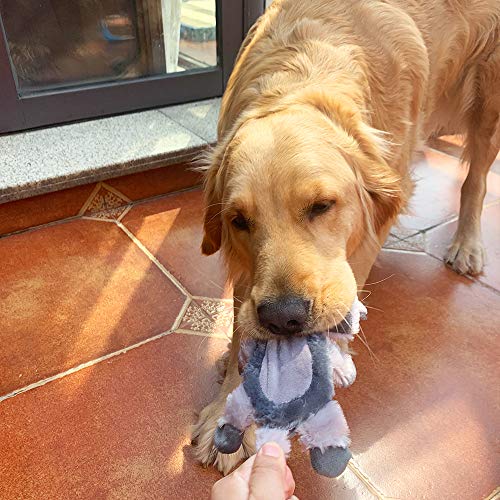Jalousie Extra-Large Dog Squeaky Toy Interactive Rope Plush Toy For Small Medium Large Breeds Durable Dog Chew Toy (Racoon) #TOP2