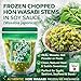 [Product of Japan] Chopped Hon Wasabi Stems in Soy Sauce – 8.8 oz (250g) × 20 Pack – Authentic Wasabia Japonica – Clean Heat with Natural Sweetness – Ideal for Sushi, Sashimi, Premium Seafood & Steak – Ships Frozen with Insulated Packaging