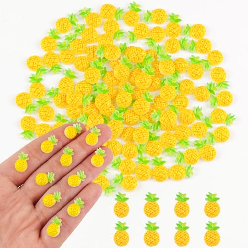 Mini choses pour jardin féérique et micro paysage avec ananas