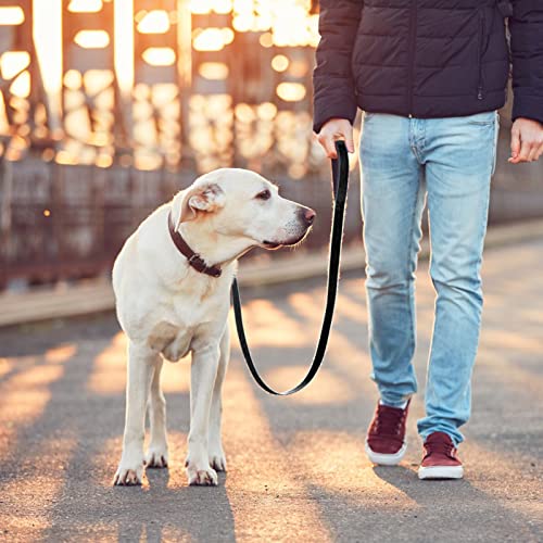 TIESOME Kurze Hundeleine mit gepolstertem Griff, doppeltes Gurtband Nylon reflektierende Haustier Leinen Hundeleine für Walking Training (Schwarz)