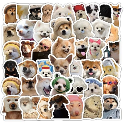 �� �X�e�b�J�[ �ʔ��� PVC �h�� �q���p �ԗp �{�b�N�X �f�X�N ���킢�� 100�� 50mm [���s�A���i]