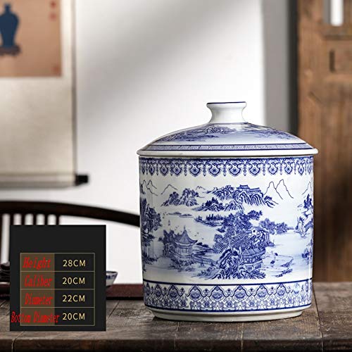 ABZHNM Blue and White Chinese Porcelain Vase Traditional Antique Jar