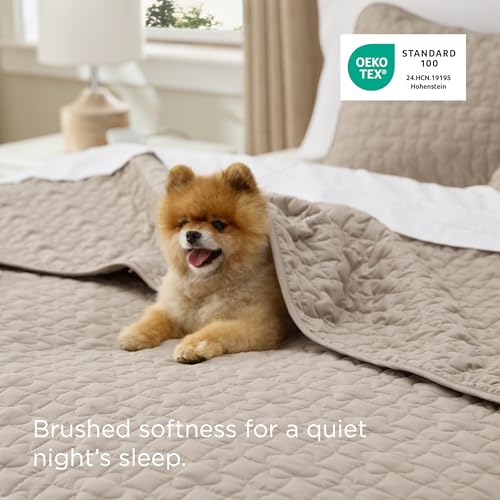 Image of Bedsure Quilts Queen Size - Lightweight Queen Comforter Set with Lucky Star Quilting, Soft Quilt Bedding Set, Taupe Bedspreads Coverlet for All Seasons with 2 Pillow Shams (90 inch x 96 inch)