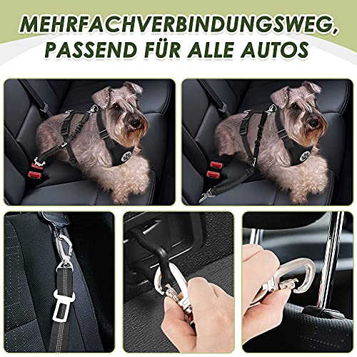 Eyein Hundegeschirr mit Sicherheitsgurt für Auto, 2 Karabinerhaken - verbunden mit Sicherheitsgurt-Schnalle, Kinder-Sicherheitssitz oder Trunk, verstellbare atmungsaktiv Geschirr (Schwarz, L)