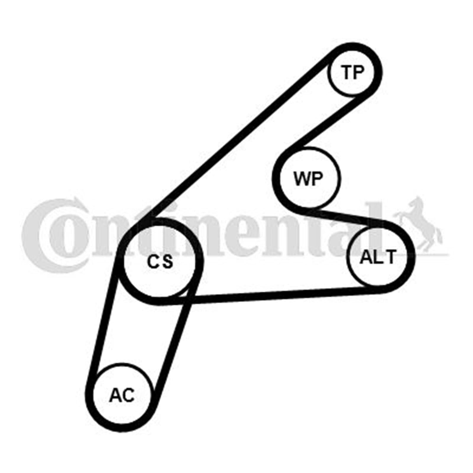 Continental 6PK1306K3 Keilriemen-Set, Zubehör