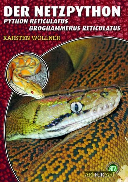 Baumpython Haltung | Terrarien Welten