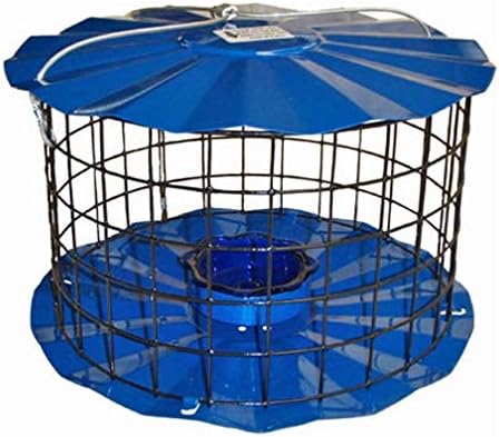 Homemade Starling Proof Bird Feeder – What You Need to Know Now 8 Erva Starling-Proof Barrier Guard Bluebird Feeder with Glass Mealworm Cup - Premium Blue Powdercoat Finish - Made in USA (BBF1)